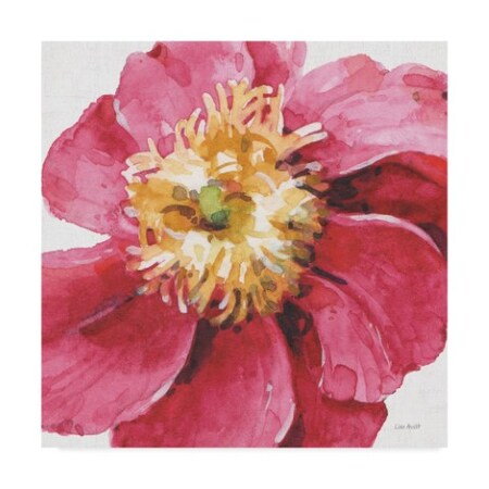 Trademark Fine Art Lisa Audit 'Pink Garden Vi' Canvas Art, 24x24 WAP07902-C2424GG